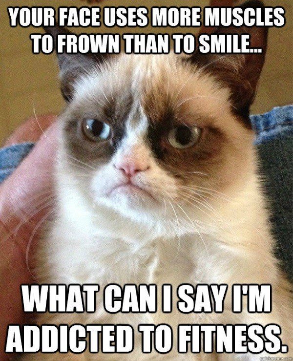 Use More Muscles To Frown - addicted to fitness - grumpy cat meme