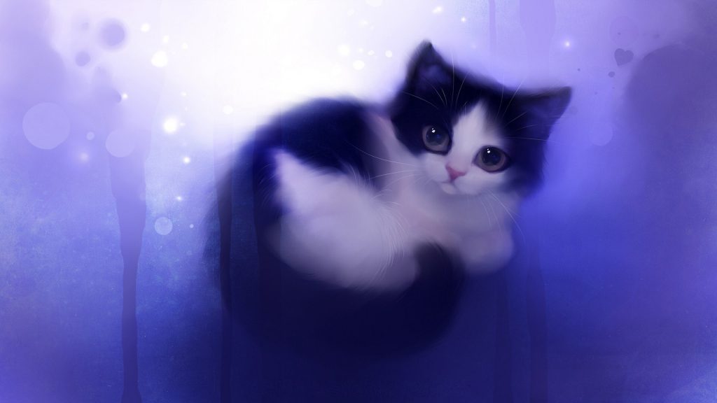 Cute Kitten Wallpaper background