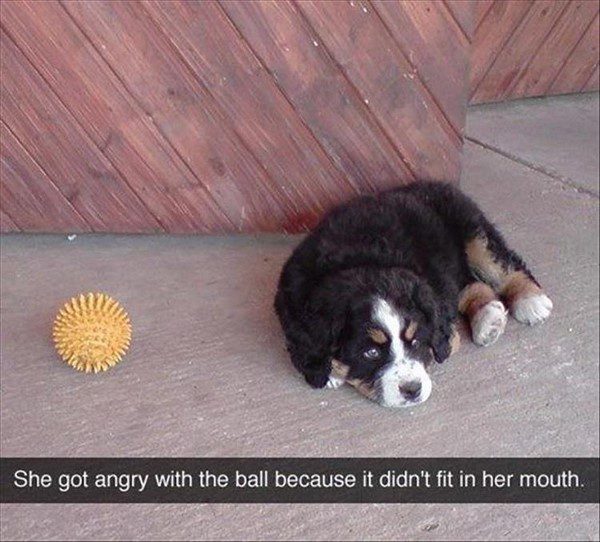 Got Angry With The Ball