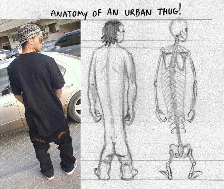 Anatomy Of An Urban Thug - Really Funny Picture