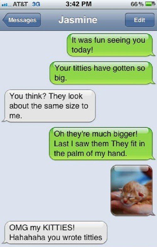 Your Kitties - funny sms fail