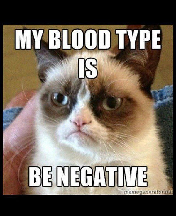 Blood Type Is Be Negative - funny grumpy cat meme