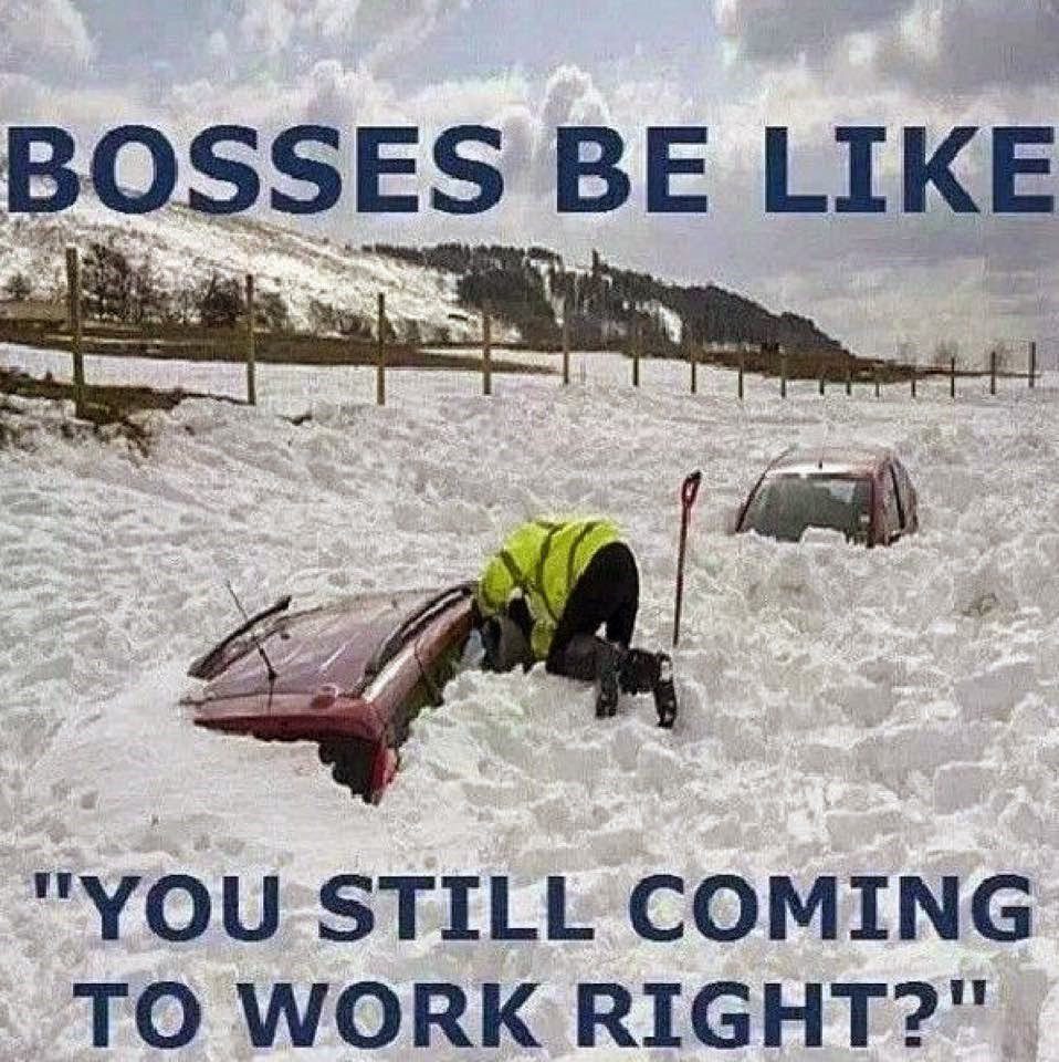 Bosses Be Like " You Still Coming To Work Roght?" Cars 100% Covered In Snow