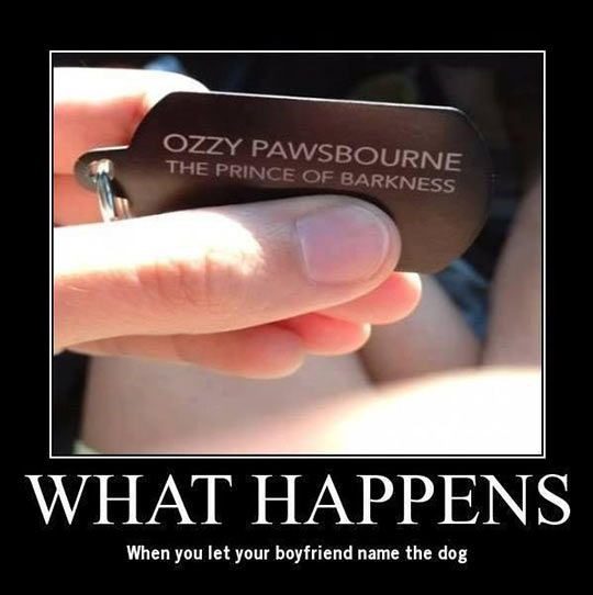 Let Your Boyfriend Name The Dog - funny photo - ozzy pawsbourne the prince of barkness