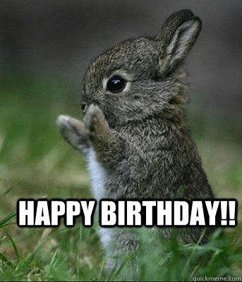 bunny rabbit birthday meme