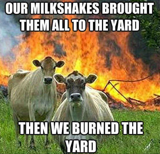 Our Milkshakes Brought Them All To Our Yard, Then We Burned The Yard. cows in front of a fire meme - funny caption photo