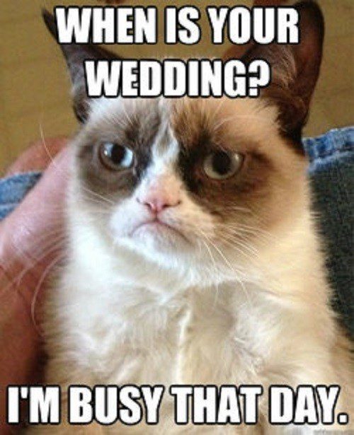 When Is Your Wedding? I'm Busy That Day - grumpy cat meme