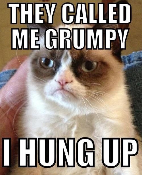 They Called Me Grumpy - I Hung Up - grumpy cat meme