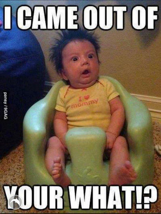 I Came Out Of what? - Funny Picture
funny baby picture