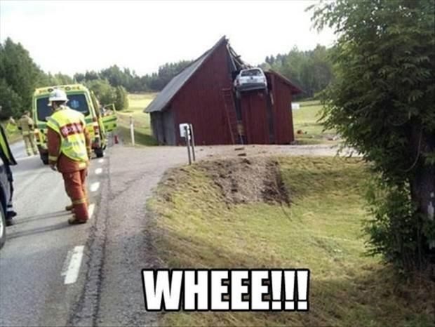 Wheee!! - really funny picture