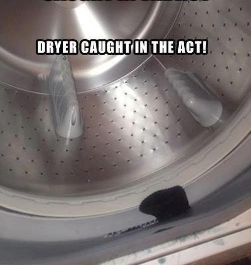 Dryer Caught In The Act - Really Funny Picture
