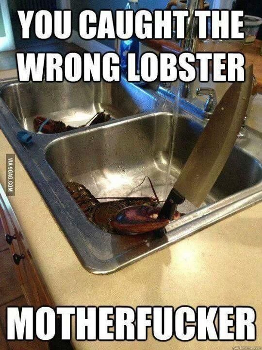 You Caught The Wrong Lobster - Funny Photo