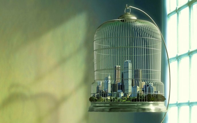 City In A Birdcage - hd tablet wallpaper background