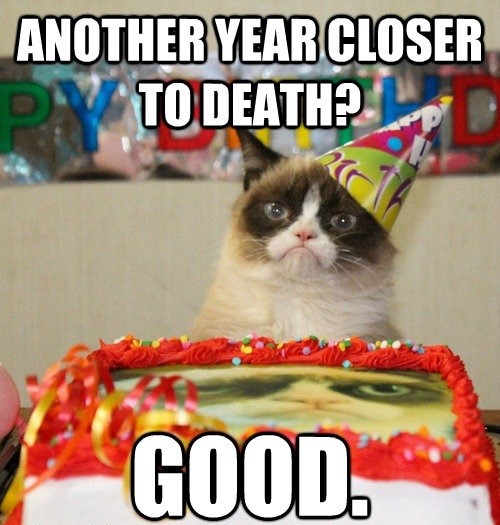 grumpy cat birthday meme - another year closer to death - good