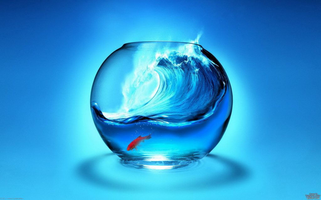 Living In A Fishbowl - HD Tablet Wallpaper Background