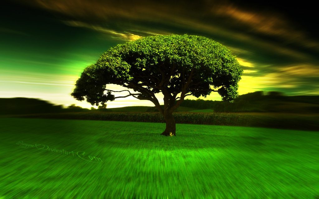 Amazing Landscape Background - Cool Tree and sky - desktop background wallpaper
