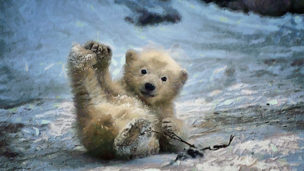 Bear Cub Sliding In The Snow Wallpaper Desktop Background