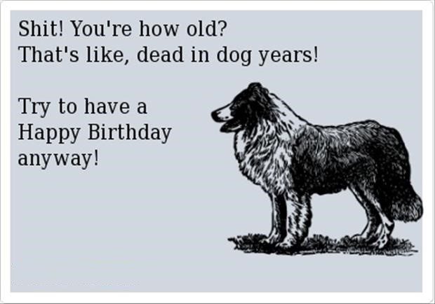 You're Dead In Dog Years - Funny Birthday E-Card