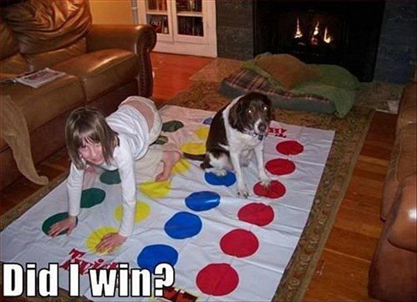 Dog Playing Twister - funny animal picture
