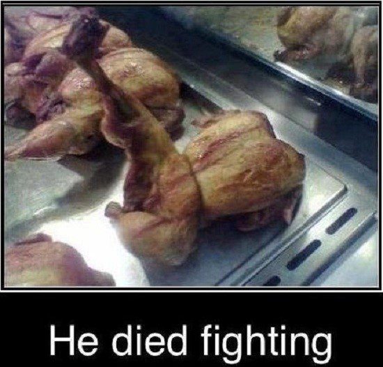 He Died Fighting - Funny Caption Photo