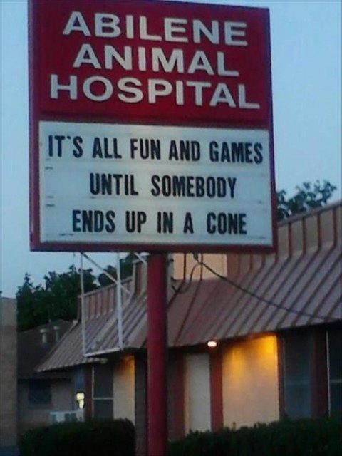It's All Fun and Games Until Somebody Ends Up In A Cone - funny animal hospital sign