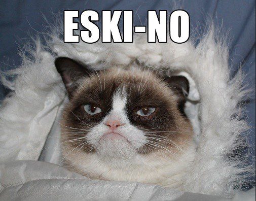Eski-No - Grumpy Cat Meme