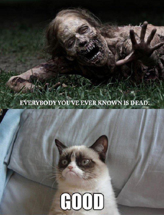 Everyone Is Dead Good- Grumpy Cat Meme - funny caption photo