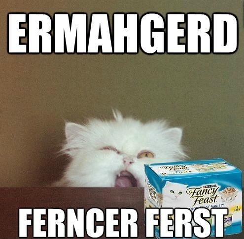 Ermahgerd Cat Fancy Feast - funny hilarious caption picture
