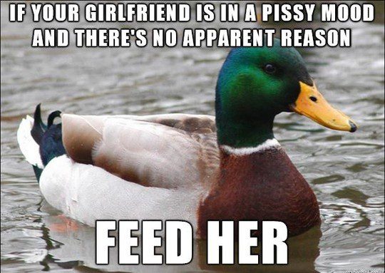 If your girlfriend is in a pissy mood for no reason, feed her. - relationship meme
