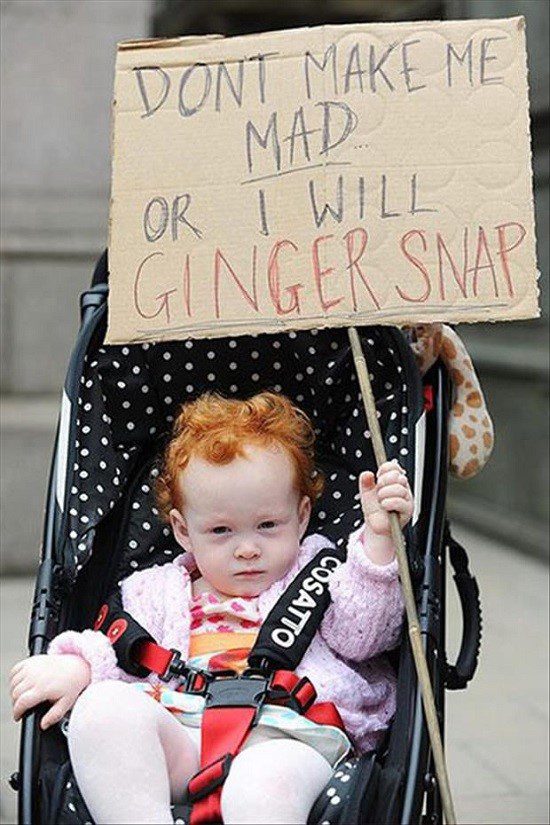 Don't Make Me Mad, I Will Gingersnap! - Funny Meme Photo