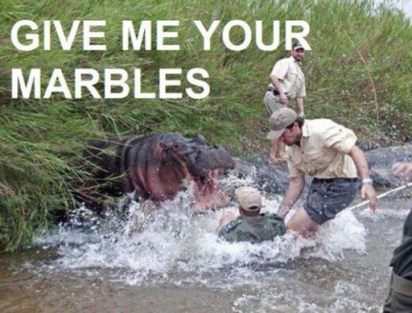 Give Me Your Marbles - Hilarious Caption Photo