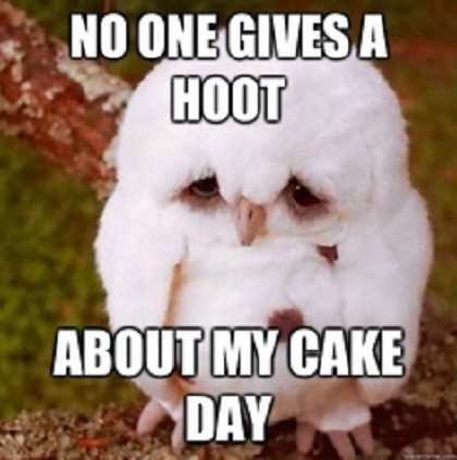 nobody gives a hoot about my cake day - birthday meme