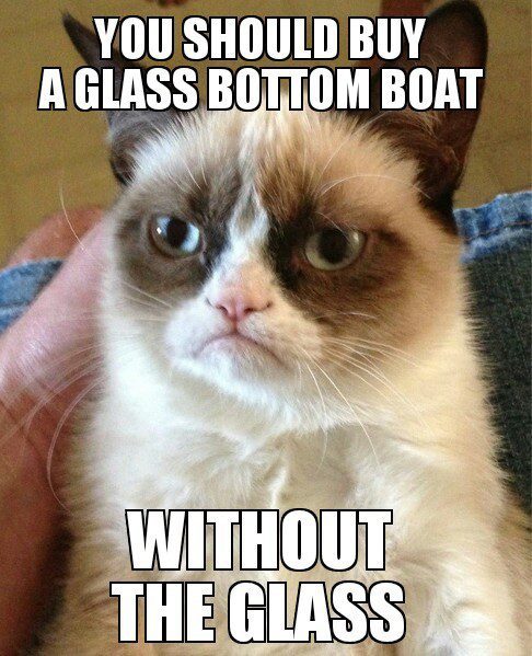 Buy A Glass Bottom Boat, Without The Glass - grumpy cat meme