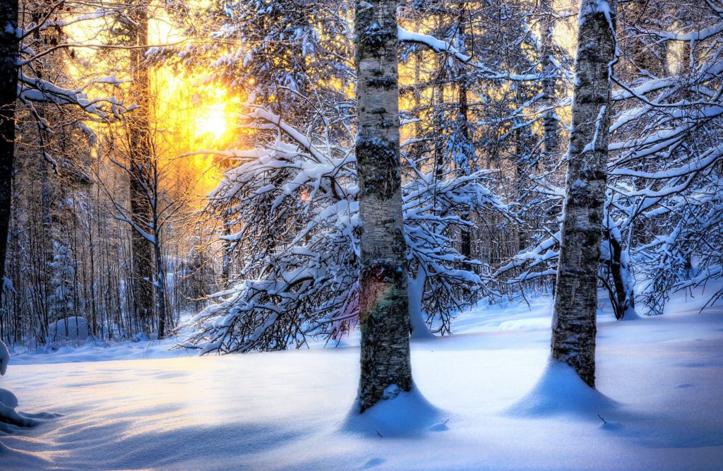 Snowy Winter Sunrise Wallpaper Background