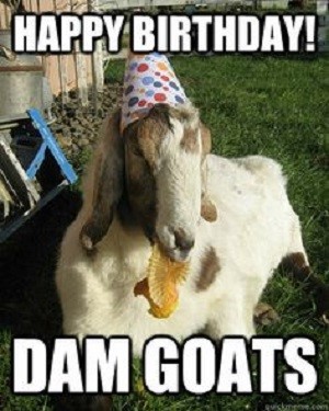 happy birthday dam goats meme