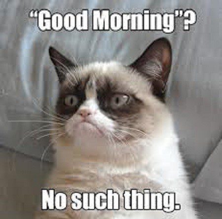 Good Morning? No Such Thing - grumpy cat meme