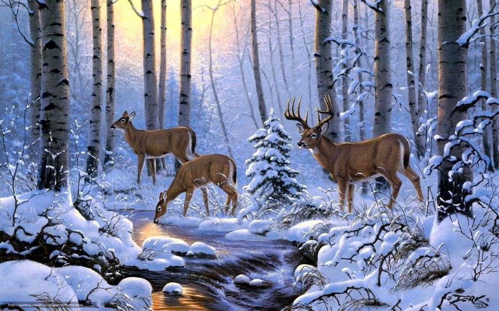 winter deer drinking from a stream. water. wallpaper background