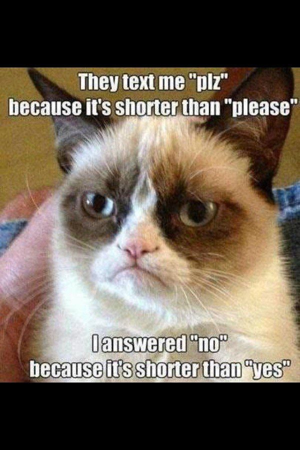 The Shorter Answer - Grumpy Cat Meme