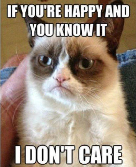 If You're Happy And You Know It, I Don't Care - grumpy cat meme