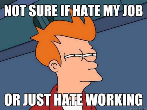 Hate My Job Or Just Hate Working - Funny Work Meme