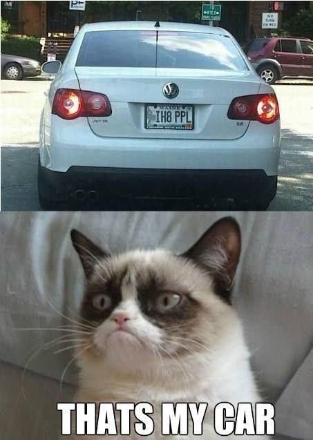 Grumpy Cat's Car - funny photo