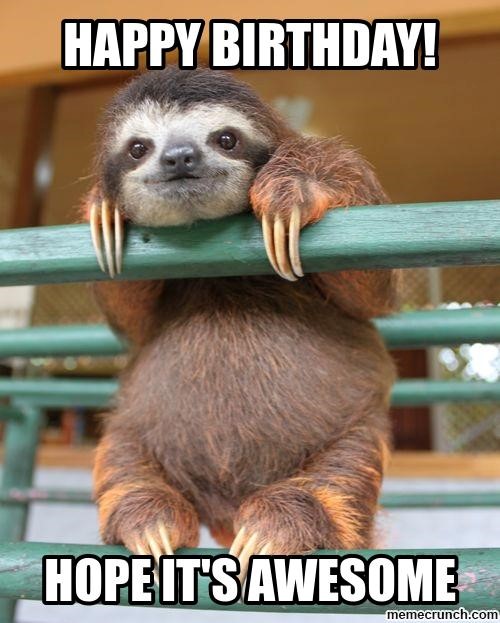 Sloth Happy Birthday Meme