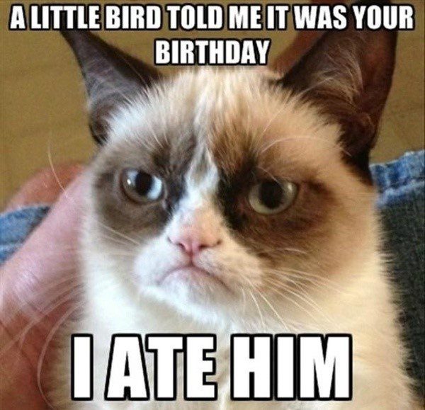 Grumpy Cat Birthday - funny meme