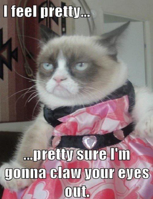 I Feel Pretty - Pretty Sure I'm Gonna Claw Your Eyes Out - grumpy cat - meme - funny caption photo