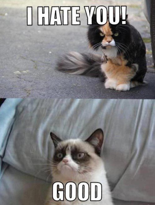 I Hate You,  Good. - grumpy cat meme