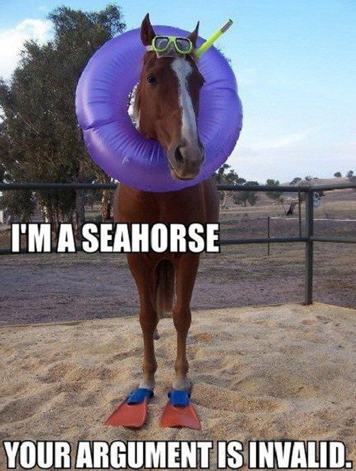 I'm A Seahorse - Horse In swimming gear - funny caption photo