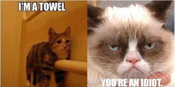 I'm A Towel - Grumpy Cat Meme