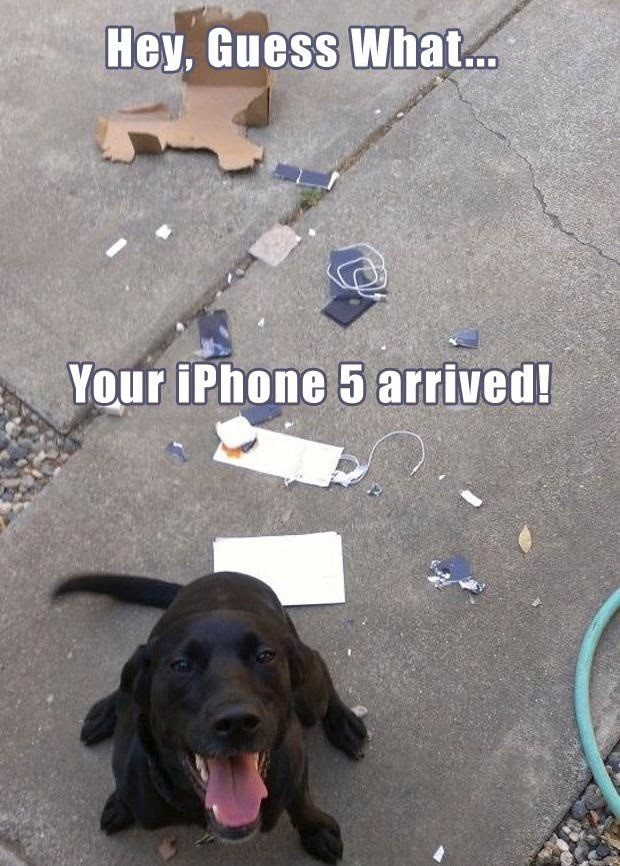 You iPhone Has Arrived - Funny Photo