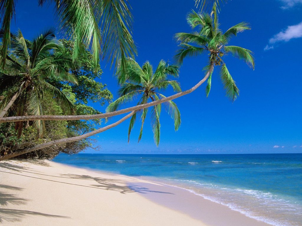 Tropical Beach Landscape - hd tablet wallpaper background