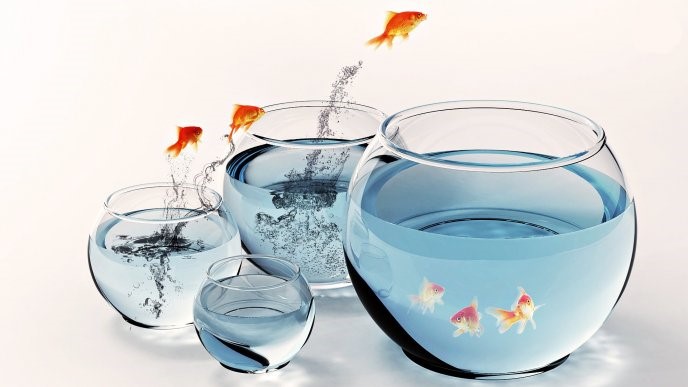 Out Of The Bowl - goldfish jumping out of the bowl into other bowls. tablet wallpaper